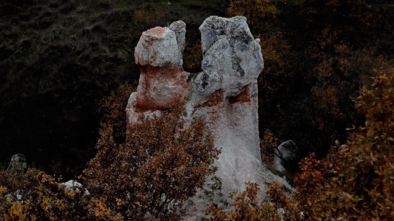 Pirin Place バンスコ エクステリア 写真