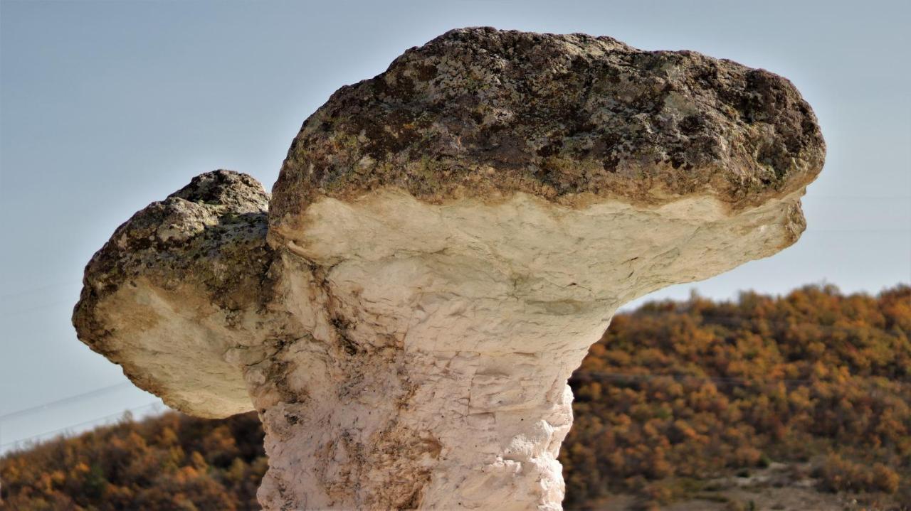 Pirin Place バンスコ エクステリア 写真