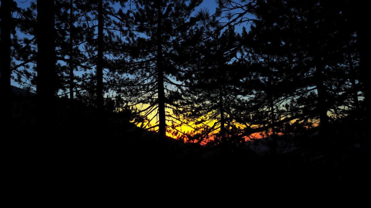 Pirin Place バンスコ エクステリア 写真