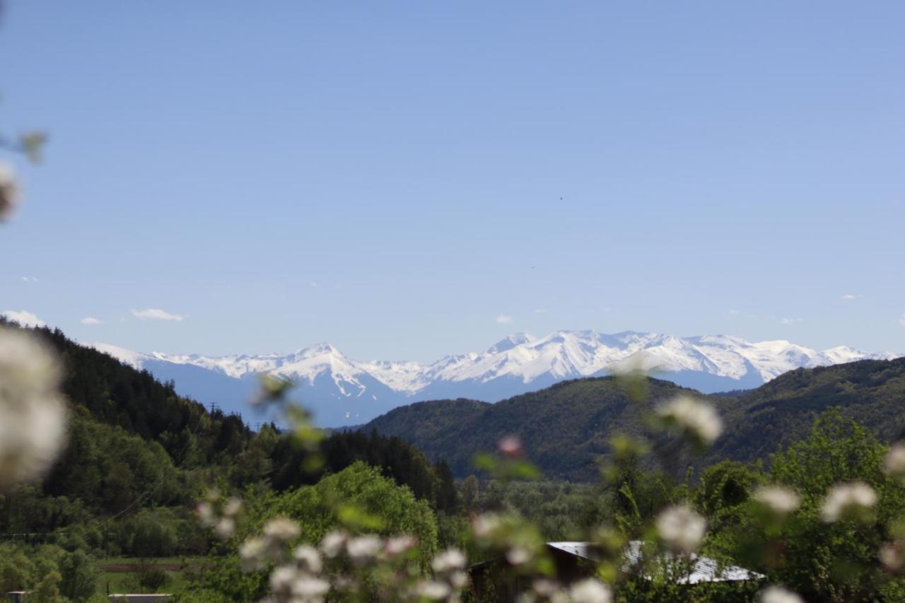 Pirin Place バンスコ エクステリア 写真