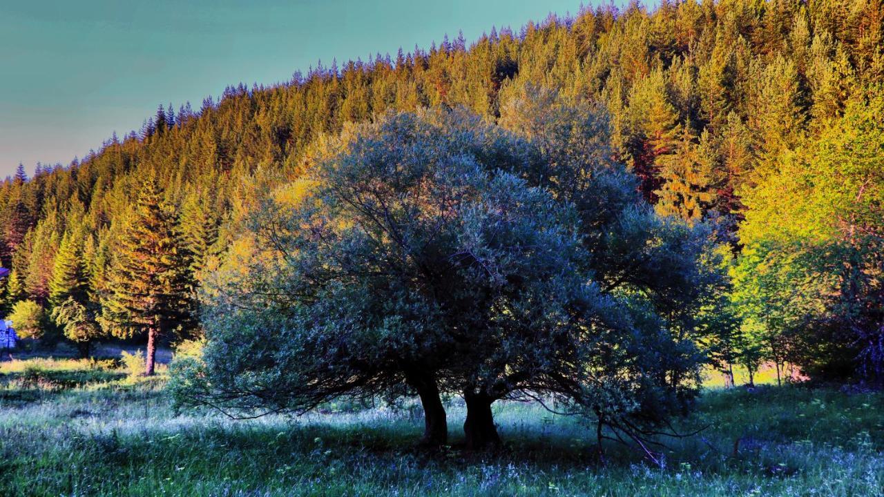 Pirin Place バンスコ エクステリア 写真